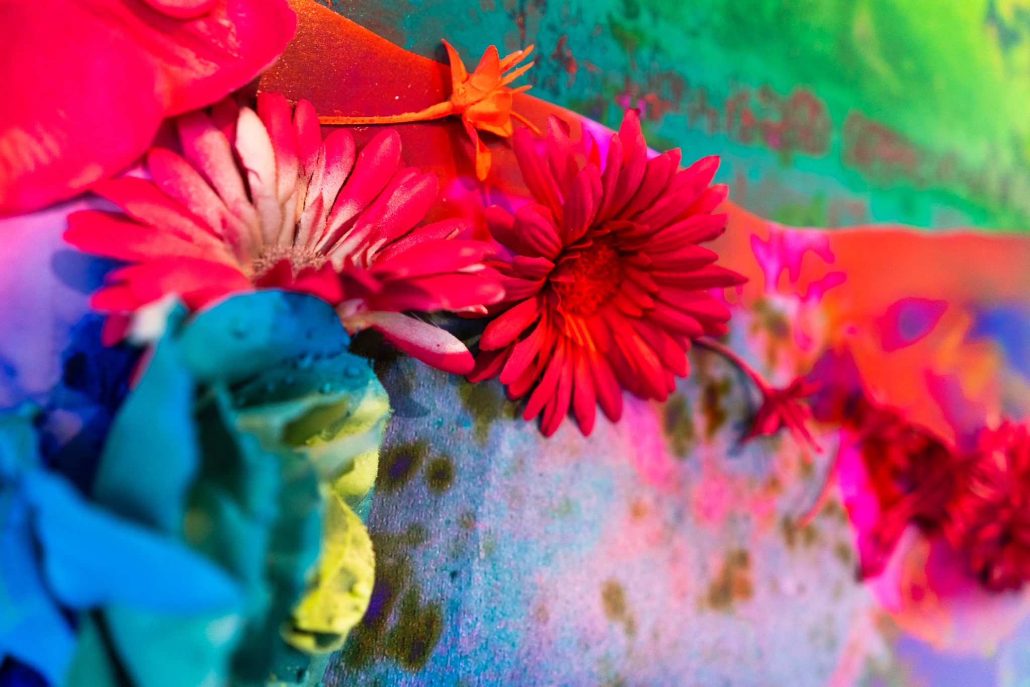 FLOWER BOMB close-up of flowers and colour