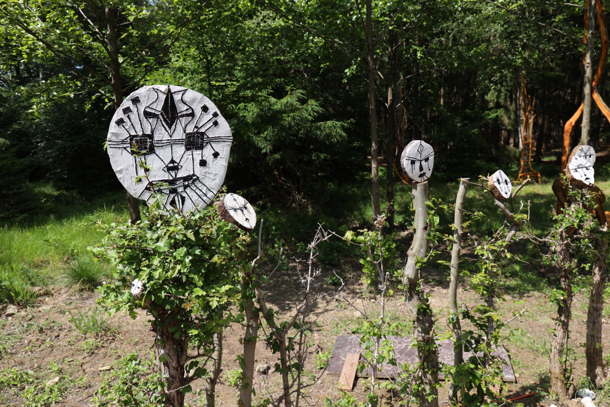 NOUS SOMMES VOUS spread across the forest edge