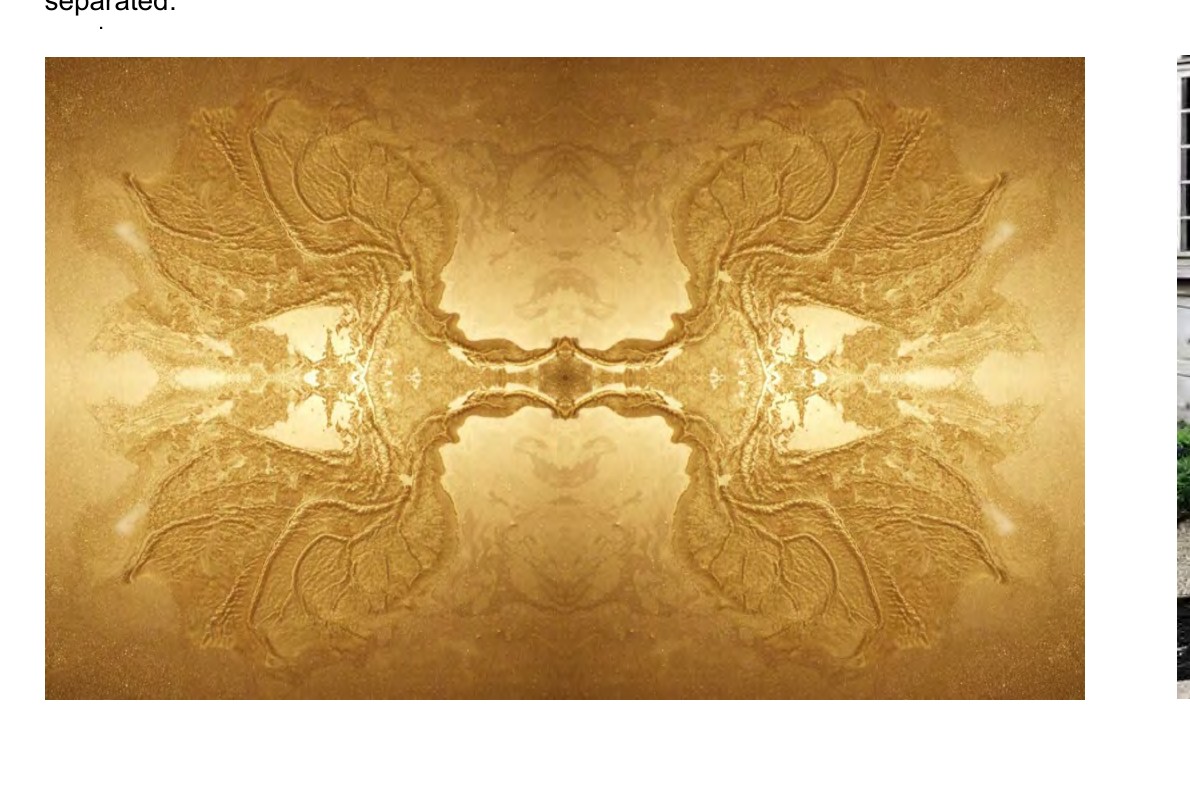 Selected artwork from Nathalie Auzépy's practice