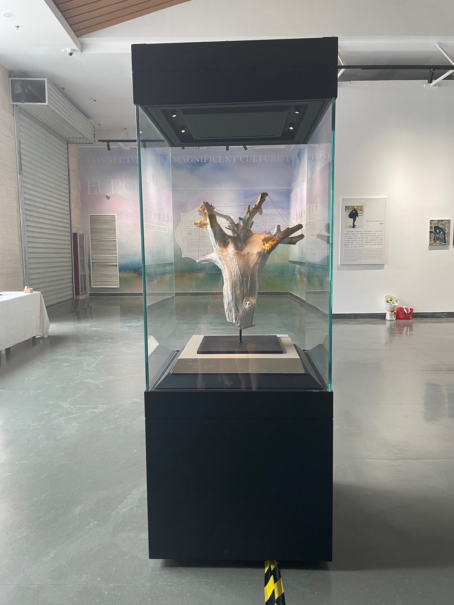 SOUL TREE presented in a glass display case