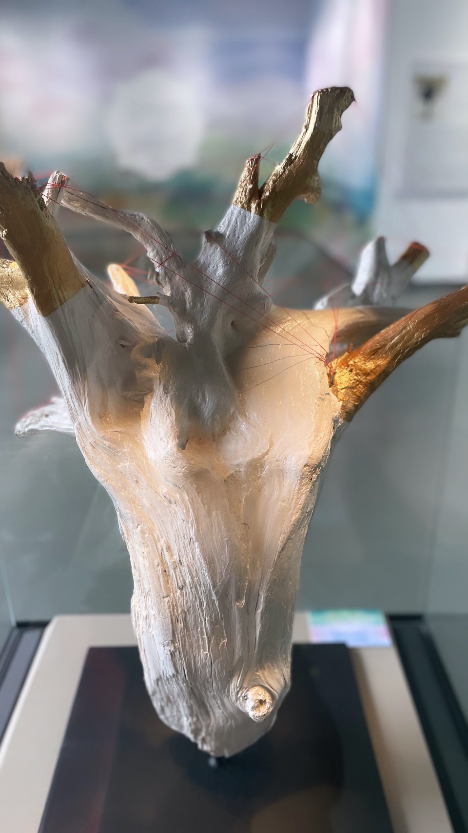 SOUL TREE