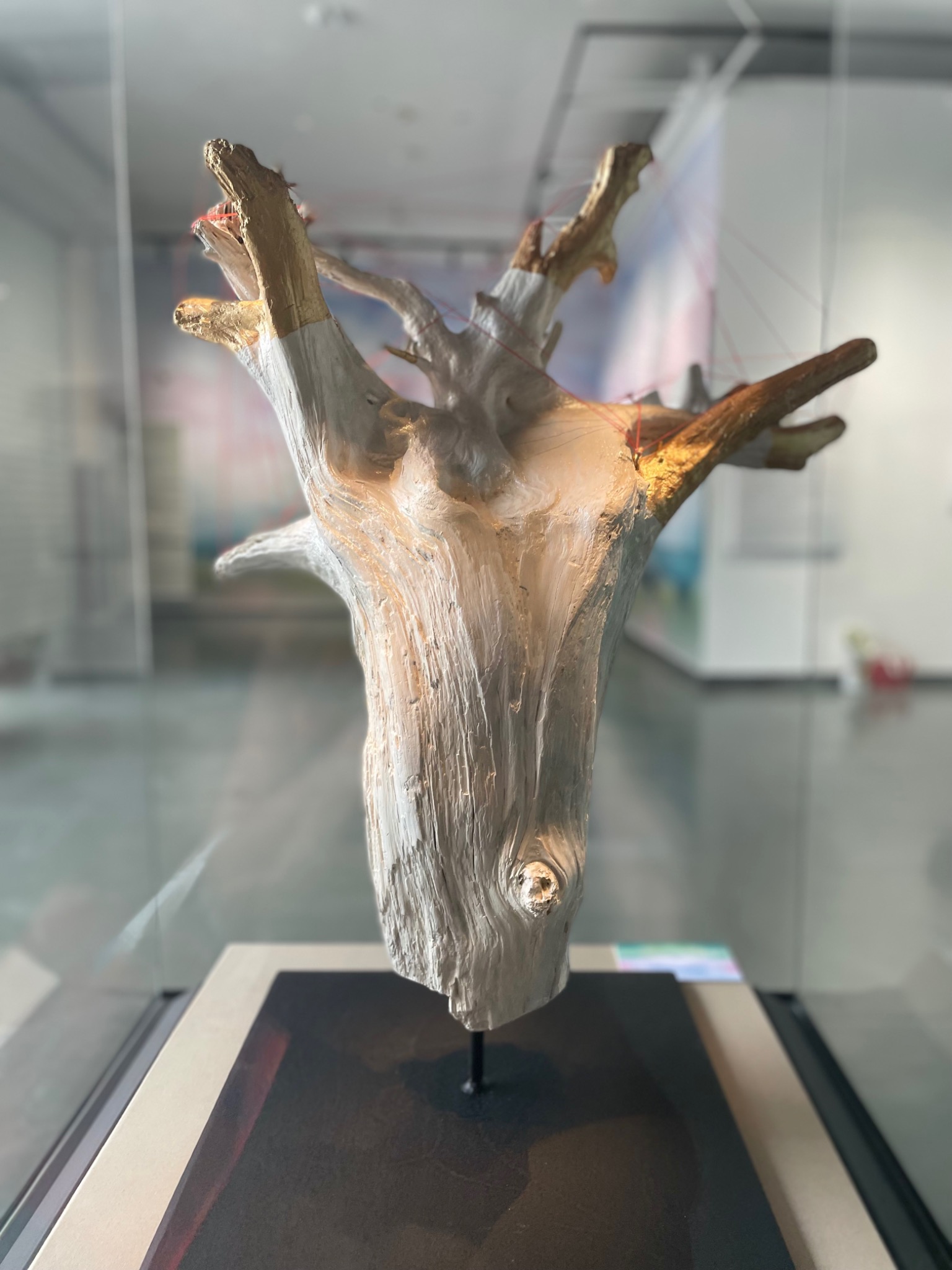 SOUL TREE suspended on its black base