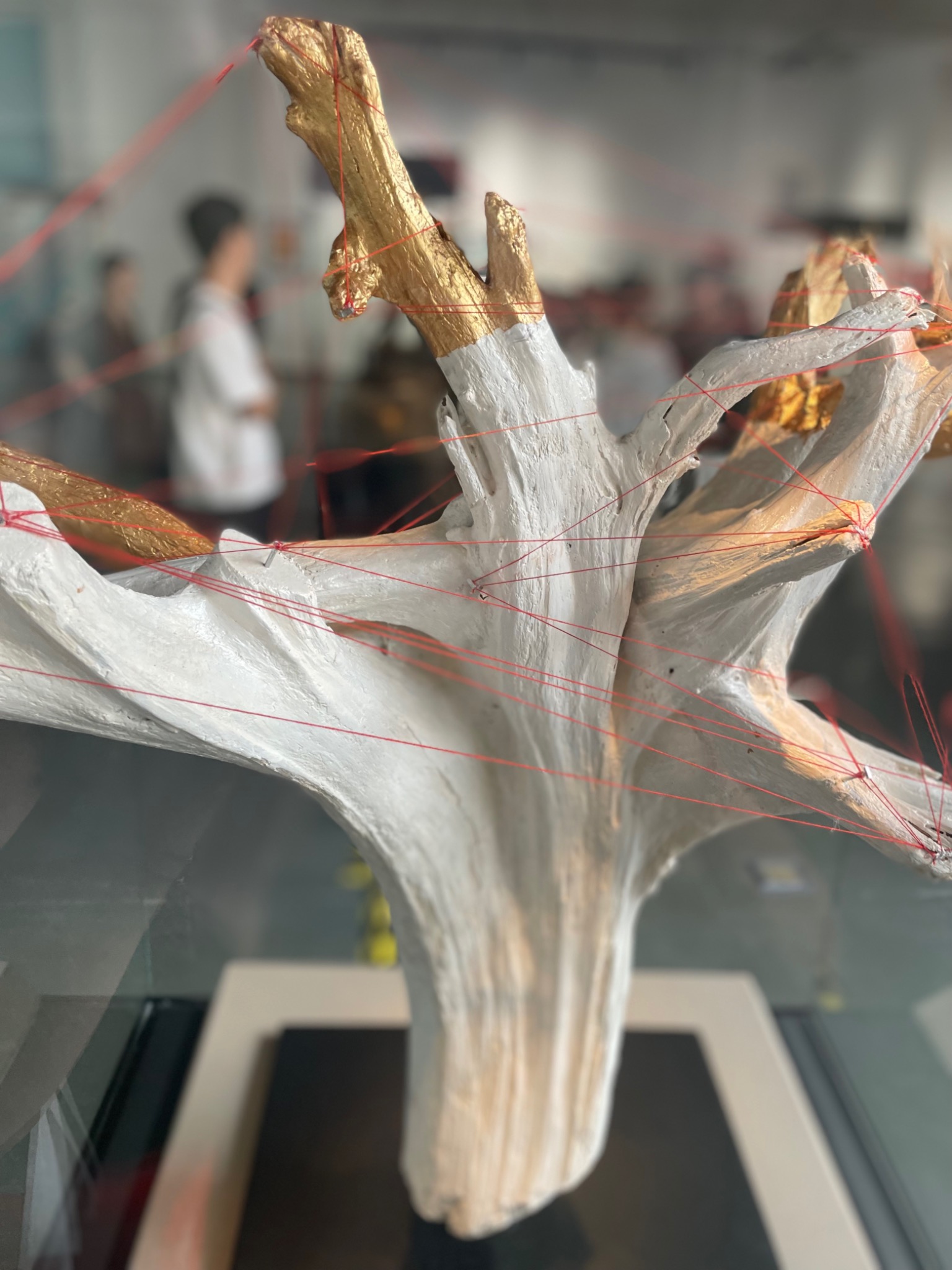 SOUL TREE upper branching and red thread network
