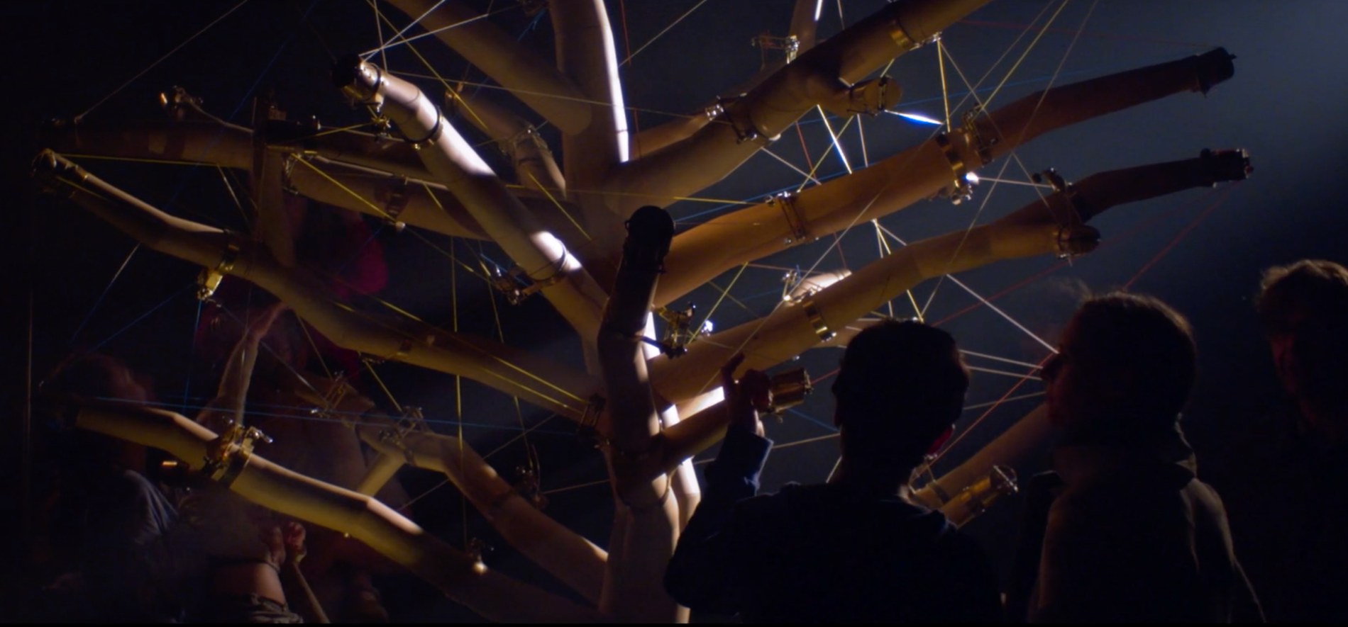Audience experiencing L’Arbre de Vie in a dark performance setting